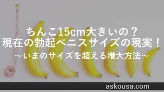 ちんこ15cmて大きいの？勃起ペニスサイズ15cmの現。